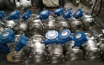 sanitary butterfly valve maintenance