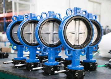 sanitary butterfly valves work