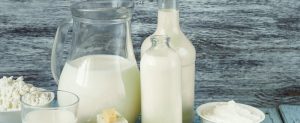 milk industry