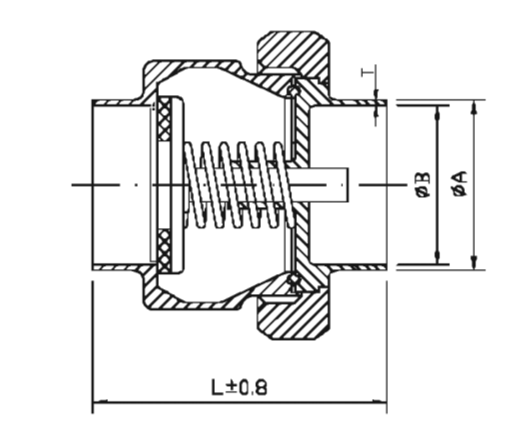 Sanitary Spring Check Valves