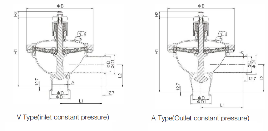 constant pressure valve