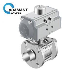 Sanitary Titanium 5 Piece Ball Valve